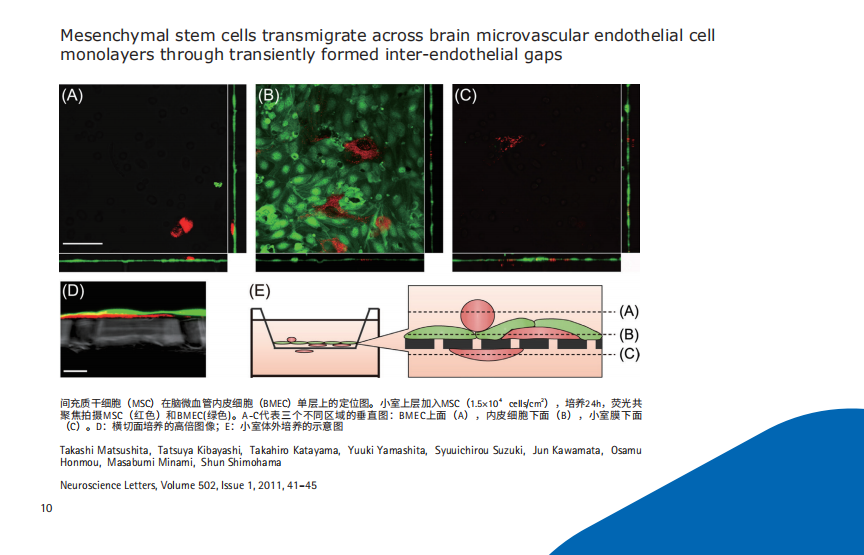 产品细节图片19
