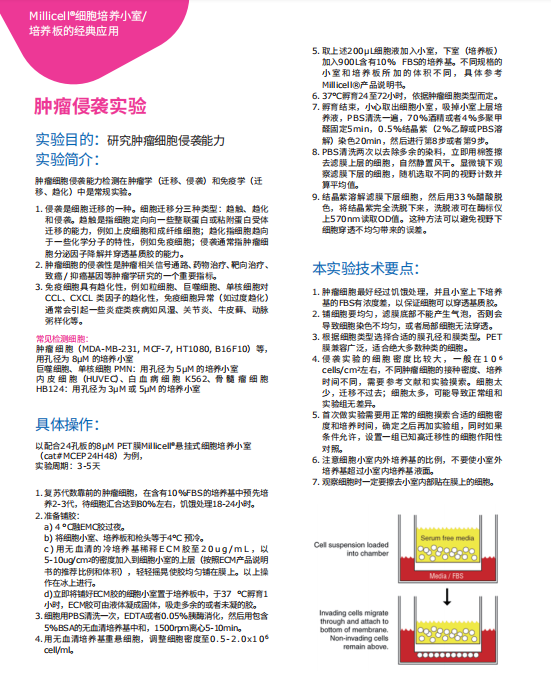 产品细节图片12