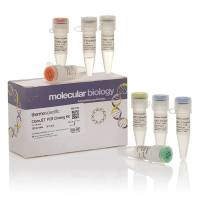 Thermo Scientific CloneJET PCR 克隆试剂盒
