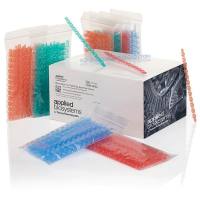 Thermo Scientific PCR 耗材目录-1PCR的单管及8联管