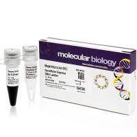 Thermo Scientific DNA Ladders DNA分子量标准-2