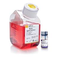 Thermo Scientific Gibco™细胞培养基-干细胞培养基