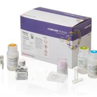 Thermo Scientific Nucleic Acid Purification 核酸纯化