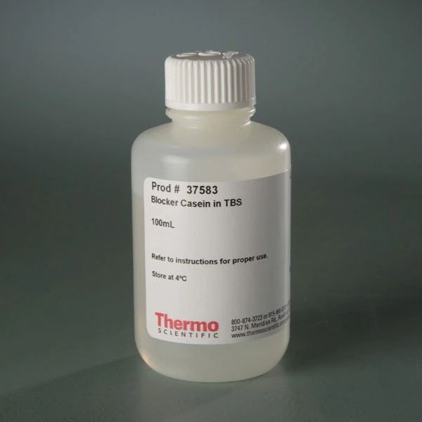 Thermo Scientific™生命科学缓冲液和标准品