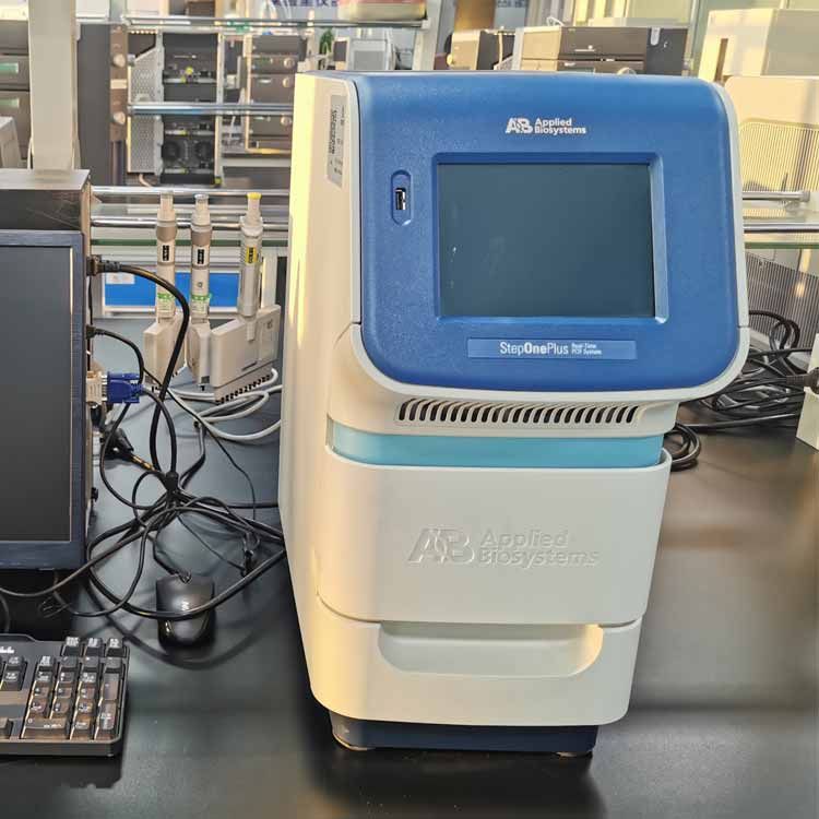  美国ABI StepOnePlus实时荧光定量PCR仪