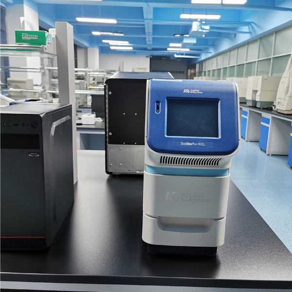 美国ABI StepOnePlus实时荧光定量PCR仪