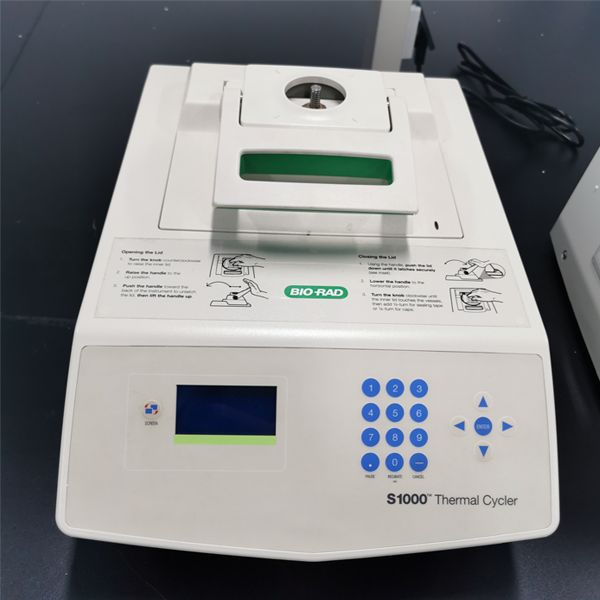 Bio-Rad伯乐 S1000梯度PCR仪 