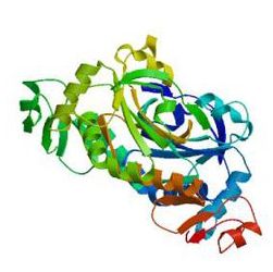 Recombinant Human CD47 Protein, His Tag