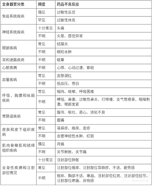 图片预览