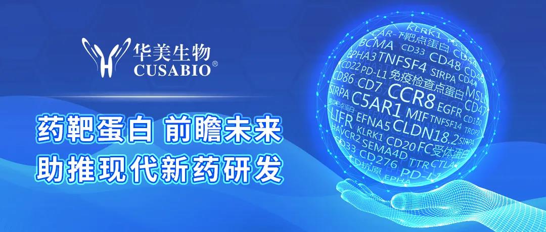 靶向药研发团宠：ADC药物的进阶之路