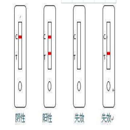 登革病毒NS1抗原检测试剂盒（胶体金法）