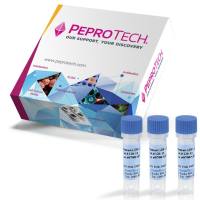 PeproTech重组人sFRP-5