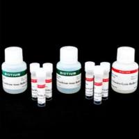 Firefly & Renilla Luciferase Single Tube Assay Kit 30081-1