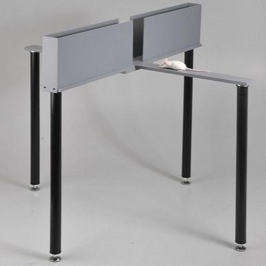 高架十字迷宫，大鼠高架十字迷宫，小鼠高架十字