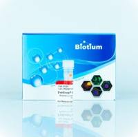 EvaGreen, 2000X in DMSO 31019