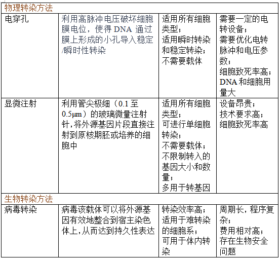 细胞转染实验技术——功能实验的第一步