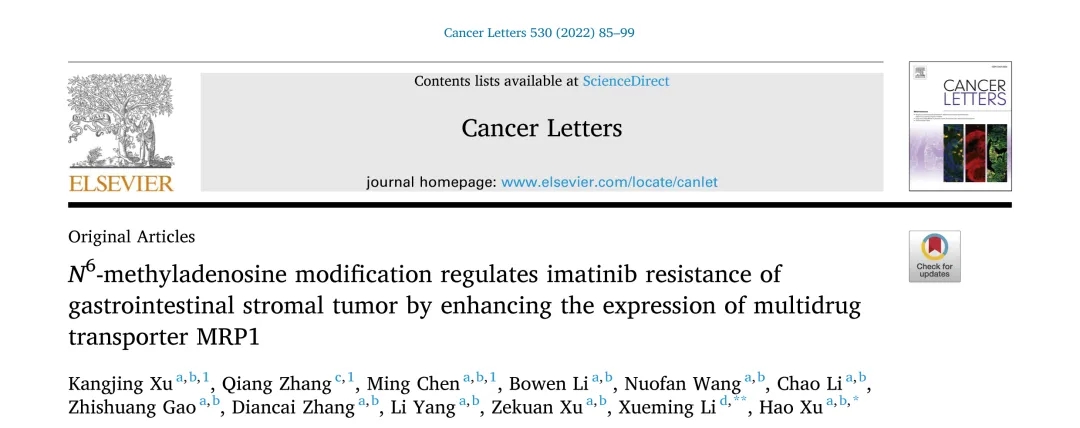 客户文章丨m6A-seq助力发现m6A修饰调控胃肠道间质瘤伊马替尼耐药的机制