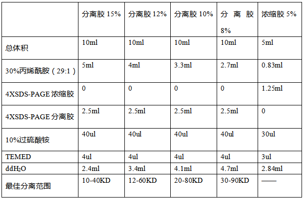 Western Blot 的成功之道