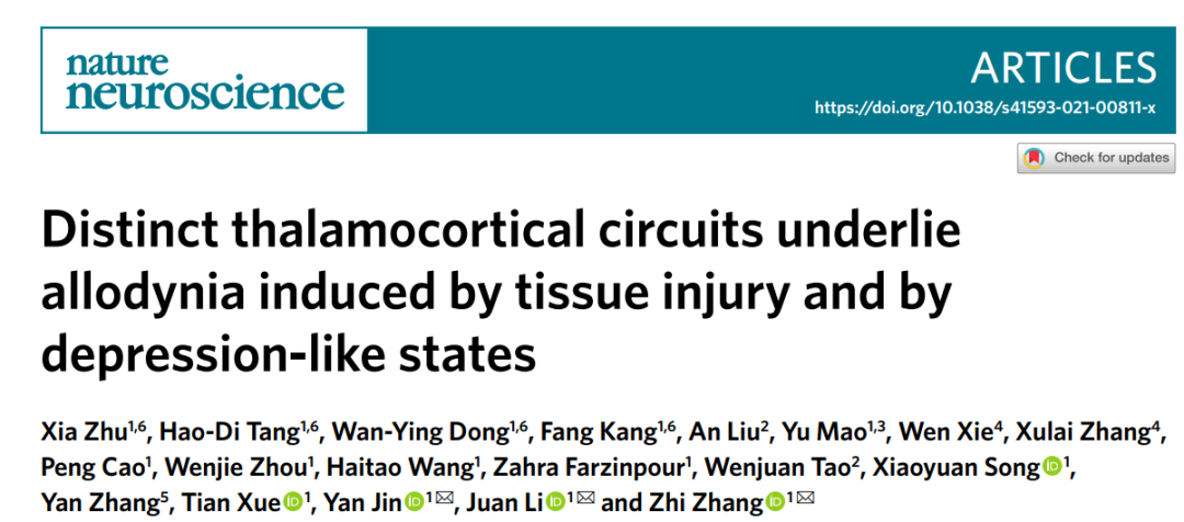 2021 年度好文盘点！-神经科学