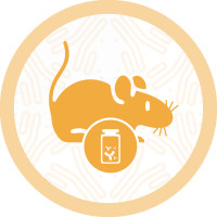 通用抗体Anti-Mouse PD-1(Mouse IgG1 D265A mutation