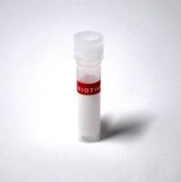 ETHIDIUM HOMODIMER I, 2MM DMSO SOLUTION 40014