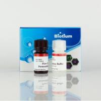 Flow Cytometry Fixation/Permeabilization Kit 23006
