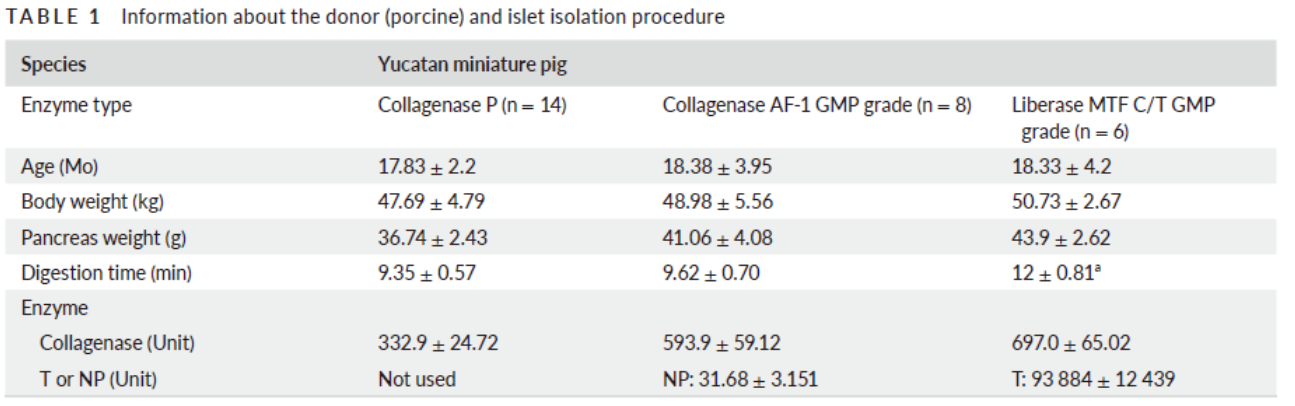 异种胰岛移植应用 | GMP 级胶原酶在胰岛分离培养中的分离效果及临床适用性