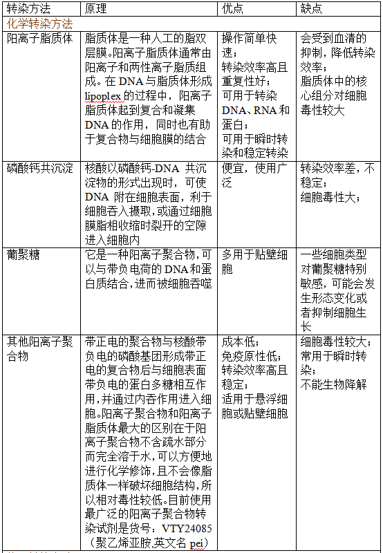 细胞转染实验技术——功能实验的第一步