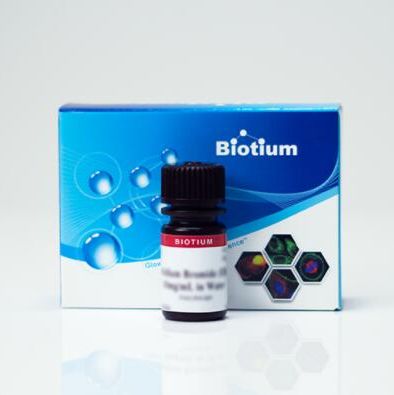 Ethidium bromide (EB), 10mg/mL in H2O 40042