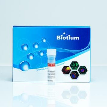 dNTP Mix, 10mM each 40054