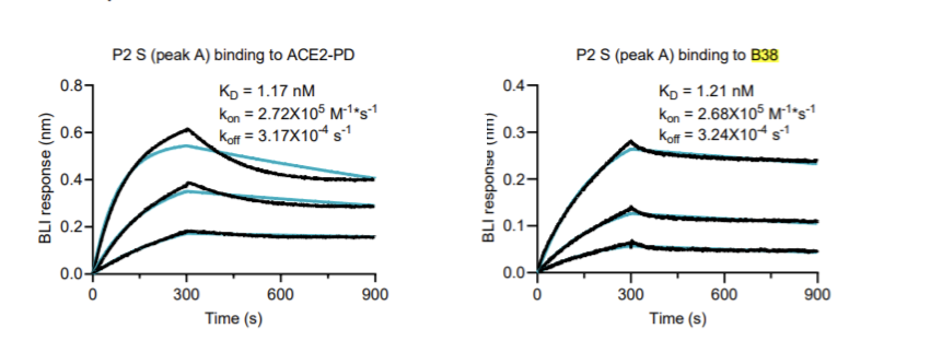 盘点 | 哪些2021上市药物的申报资料中出现了Octet？