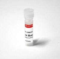 Ethidium homodimer III 40050