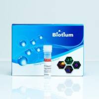 dNTP Mix, 25mM each 40053