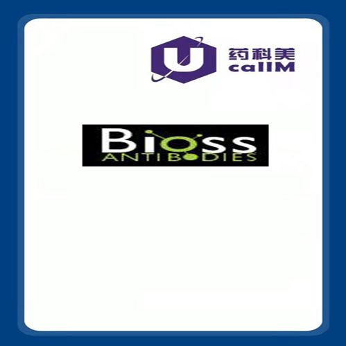 北京美科美生物公司代理Antibodies/Bioss
