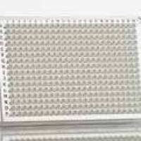 Azenta 4titude®FrameStar®384 孔全裙边PCR板, 适配Roche