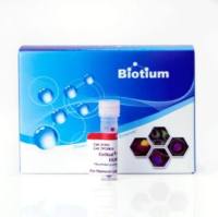 GelRed Nucleic Acid Stain, 10,000X in DMSO, bulk pack 41002-1