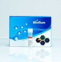 5-BROMO-2#-DEOXYURIDINE (BRDU) 40024