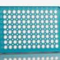 Azenta 4titude®FrameStar®96孔半裙边PCR板（带竖边）, 适配ABI®