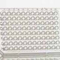 Azenta 4titude®FrameStar®96孔半裙边PCR 板