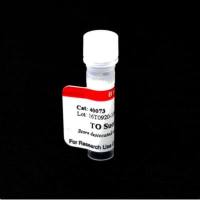 TO succinimidyl ester 40073