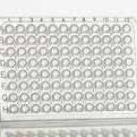 4titude® FrameStar®96孔半裙边PCR板, 适配ABI®
