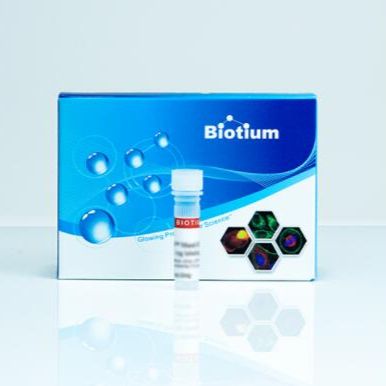 5-BROMO-2#-DEOXYURIDINE-5#-TRIPHOSPHATE, 40025