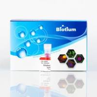 Ethidium homodimer III, 1mM in DMSO 40051