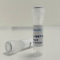 人源METTL3下调慢病毒质粒