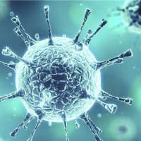 开学大促: T细胞受体（TCR）测序/免疫组库测序