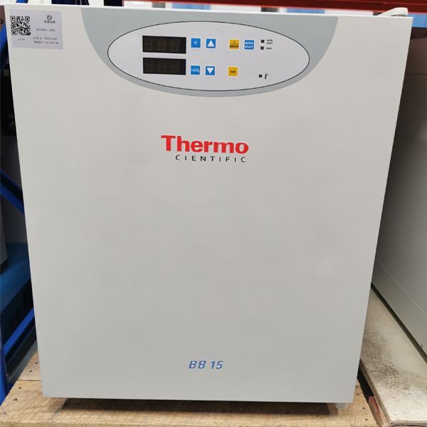 Thermo BB15 CO2细胞培养箱