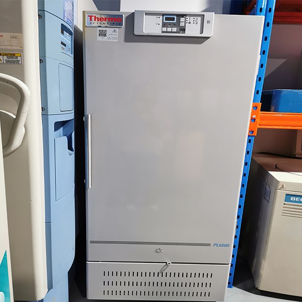 Thermo PL6500系列常规实验室冰箱