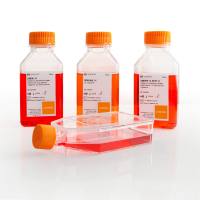 康宁细胞培养试剂促销_2022