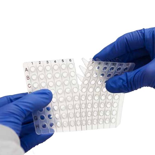 Azenta 4titude®Tear-A-Way™ PCR 板 可拆分标准型 PCR板