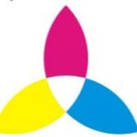 流式：FITC Anti-Mouse/Human CD44 Antibody[IM7]